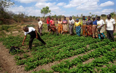 Farm Extension Services Malawi