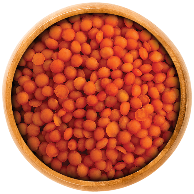 Red Football Lentils